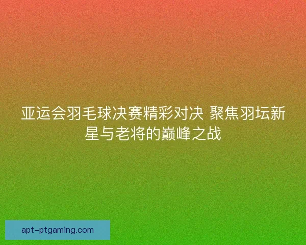 亚运会羽毛球决赛精彩对决 聚焦羽坛新星与老将的巅峰之战